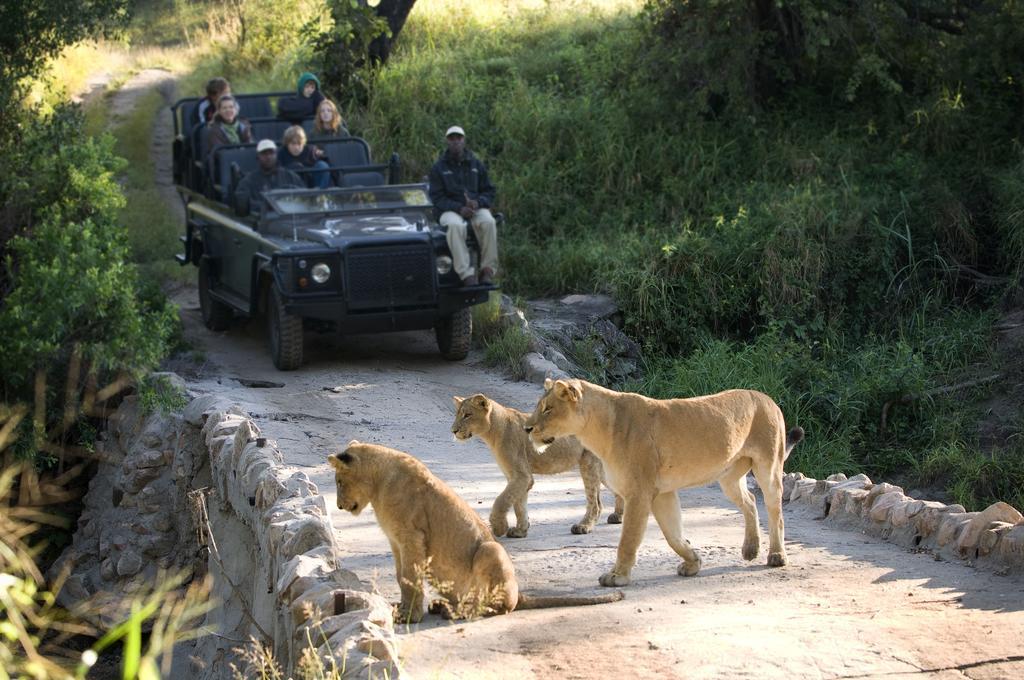 Lion Sands - Tinga Lodge Skukuza Buitenkant foto